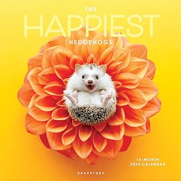 hedgehog-gifts-ideas-happy-hedgehogs-2024-wall-calendar